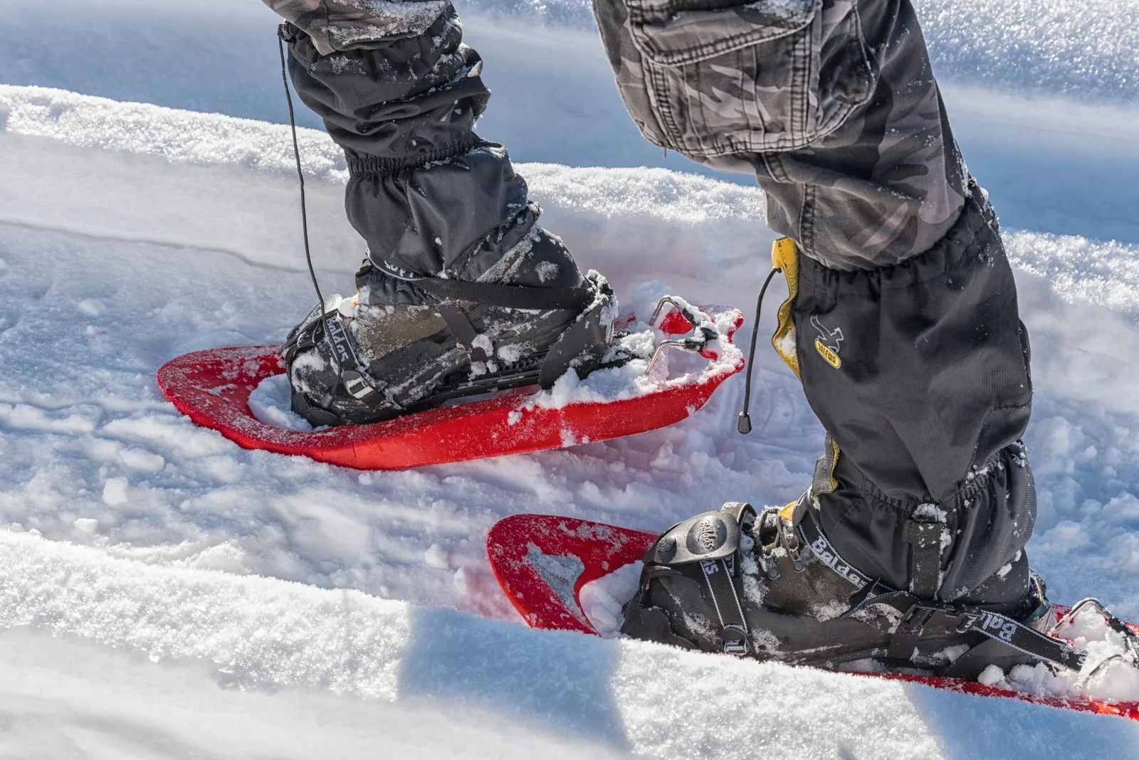 Snowshoeing in Trentino-Alto Adige