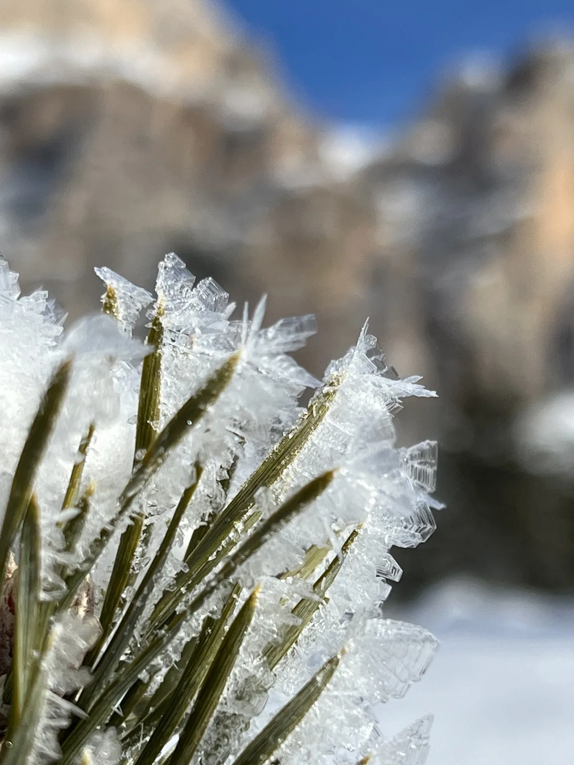 Winter, in the smallest details.